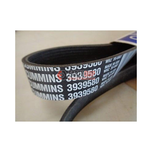 3939580_RKOF8V02RTJW.jpg